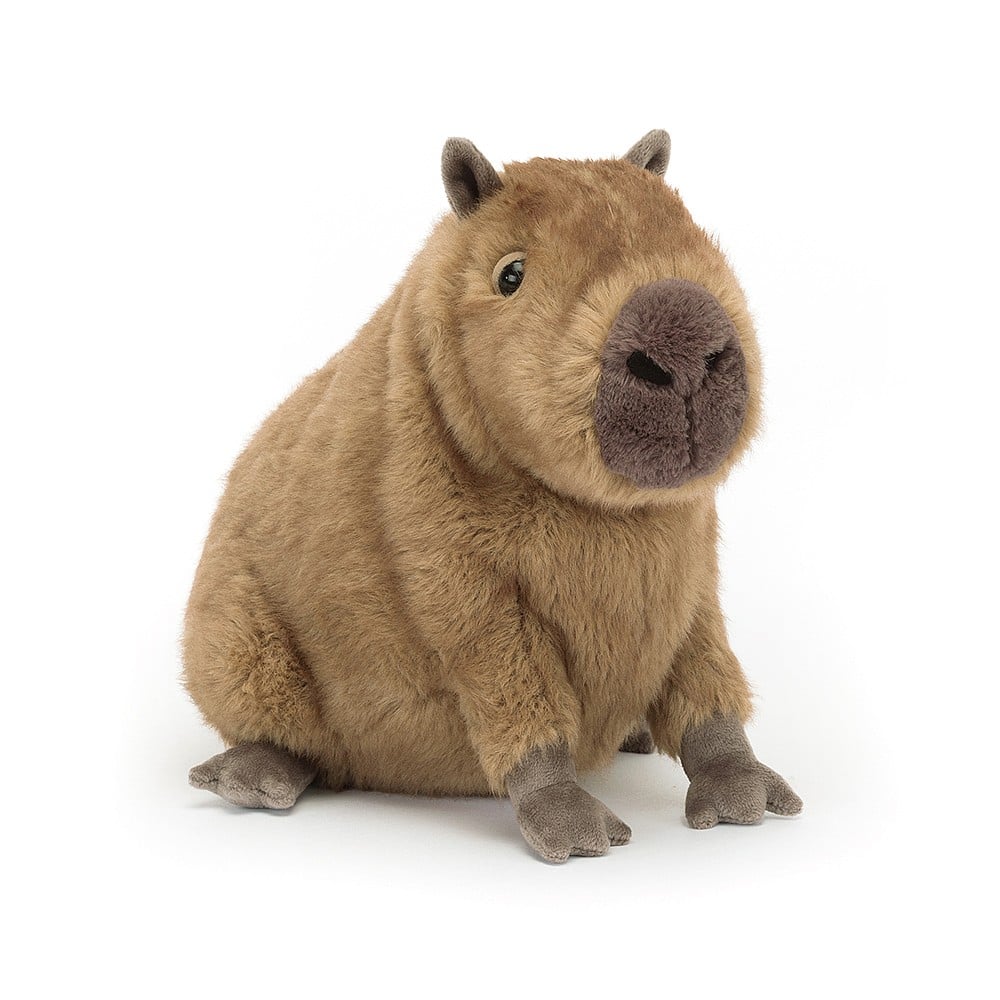 Jellycat soft toy Clyde Capybara-CLY6C