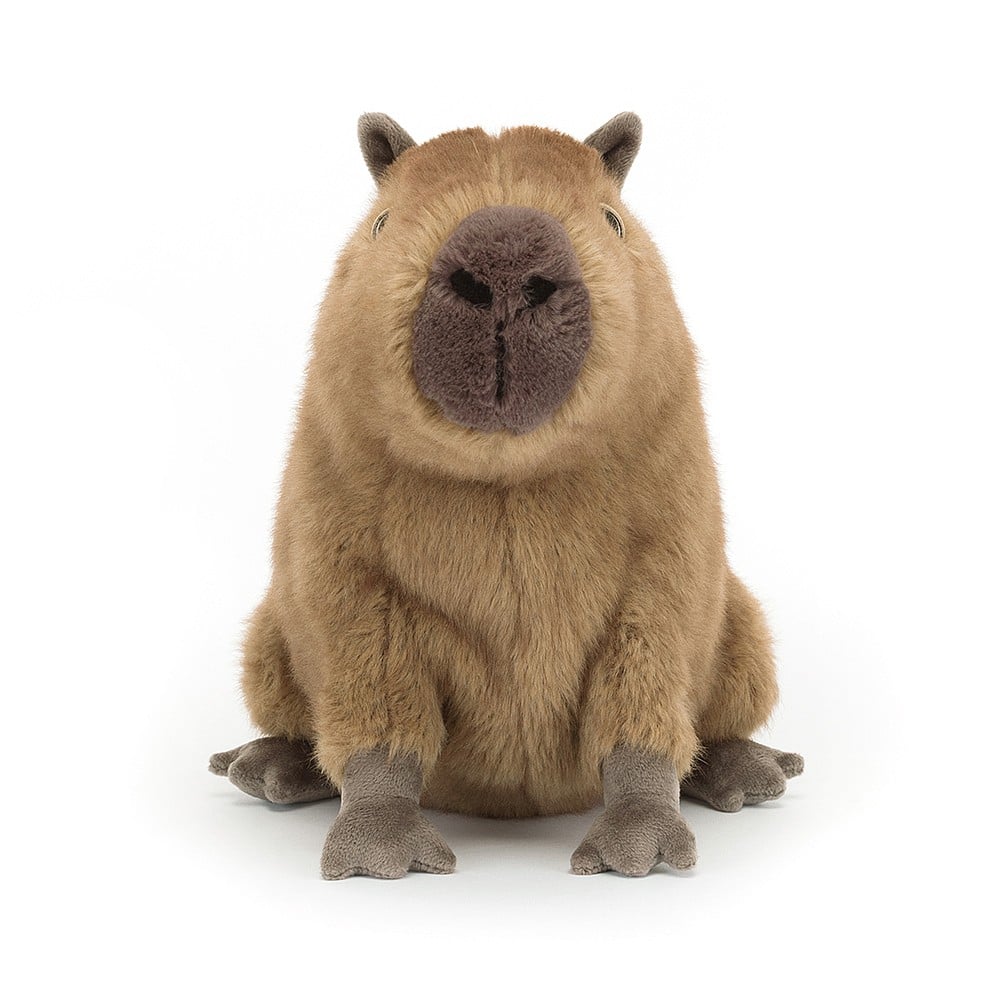 Jellycat soft toy Clyde Capybara-CLY6C