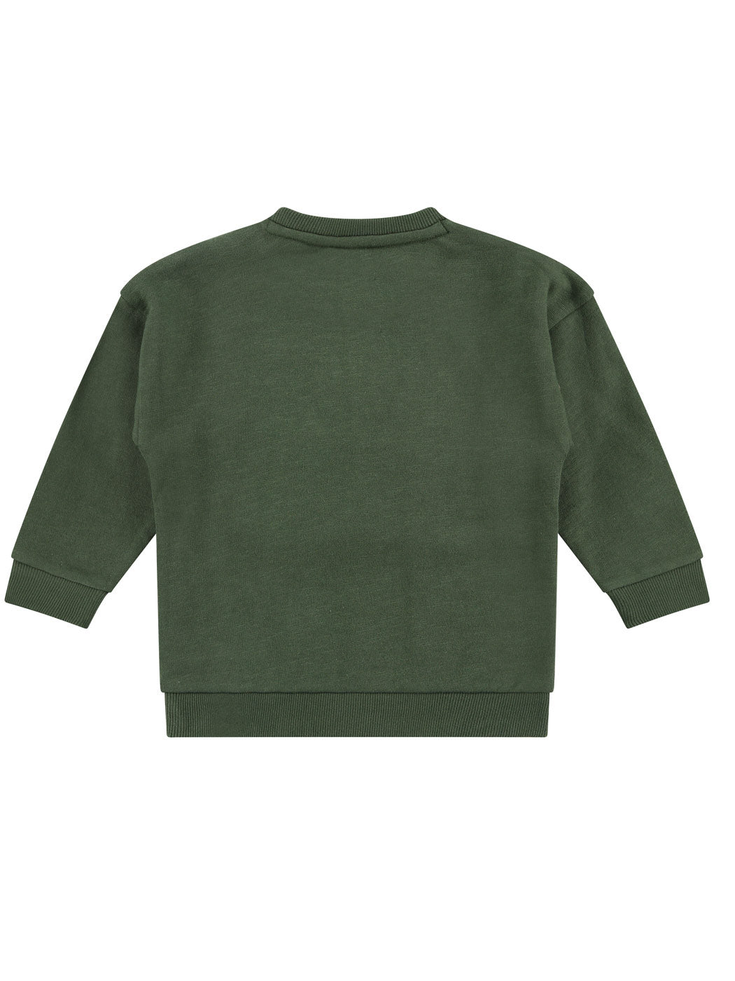 Babyface - Boys sweatshirt-BBE23507473 Green