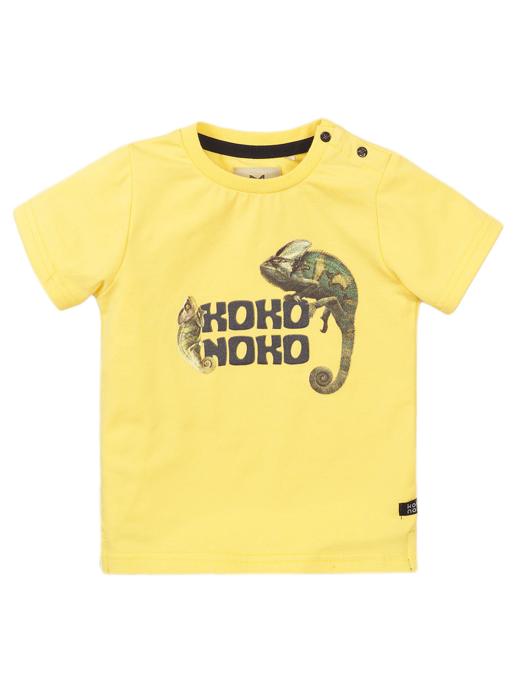 T-Shirt Chameleons-Art. E38823-37